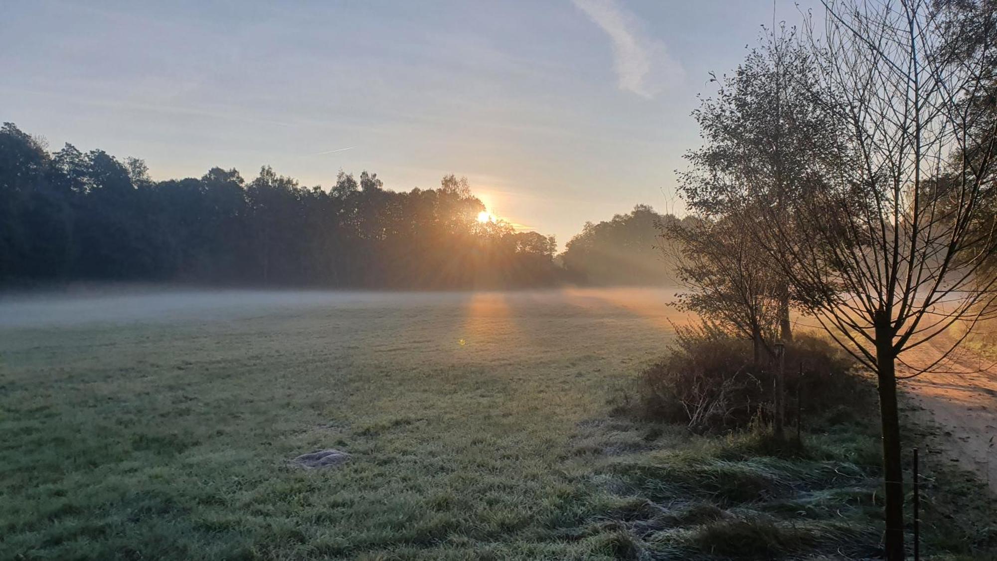 Am Gruenen Meer Myšyn Extérieur photo